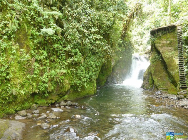 Small waterfall on the Amazon