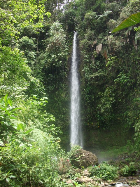 Waterfall in the Amazon jungle