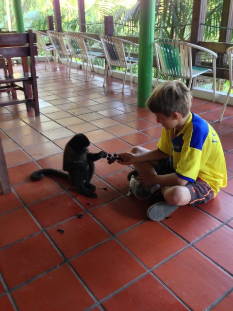 Tourist kid with a monkey