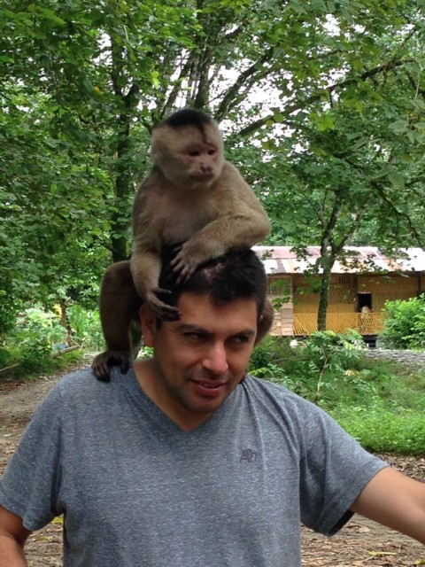 Tourist with a monkey on his head