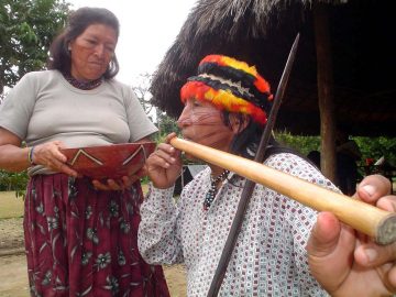 Seción tahuasan (3)