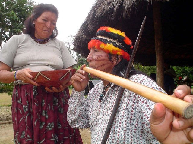 Seción tahuasan (3)